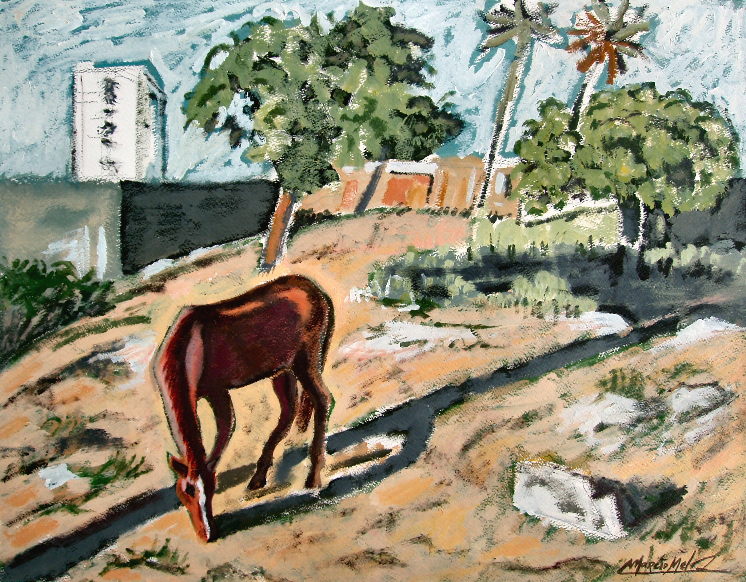 Horse in the City Marcio Melo